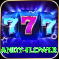 andy flower Gold Edition v4.0.2