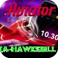 antigua hawksbill Apps (Tools & Injectors) Gold v2.2.8