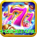 bangladesh cricket live Premium v4.7.4
