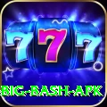 bbl big bash apk Apps (Tools & Injectors) Turbo v3.7.1