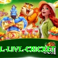 bpl live cricket Gold Edition v3.9.4