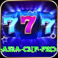 cricket asia cup Mega PK v4.8.7