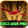 cricket aus Money Plus v5.4.6