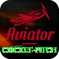 cricket pitch Turbo Pro v4.2.0