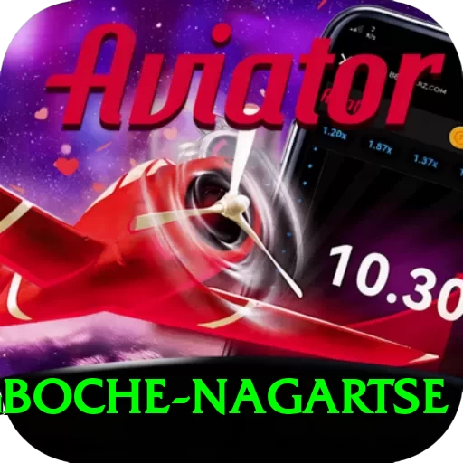 dingboche nagartse Max Pro v2.1.6 - 2
