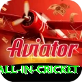 fastest ball in cricket Premium Edition v1.8.9