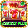 fastest ball in cricket VIP PK v4.1.5