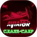 grass carp Deluxe Pro v2.5.8