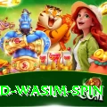 imad wasim spin Max v2.2.0
