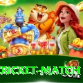 india cricket match VIP v4.1.6