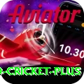 india england cricket Prime v5.5.5
