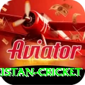 india pakistan cricket Premium Plus v2.3.1