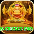 india pakistan cricket Extreme Slots