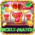 international cricket match VIP Edition v5.7.1