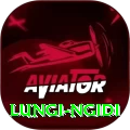 lungi ngidi Turbo Pro v1.0.2
