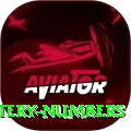 mega millions jackpot lottery numbers Master v2.4.1