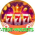 most test wickets Max Pro v1.9.2