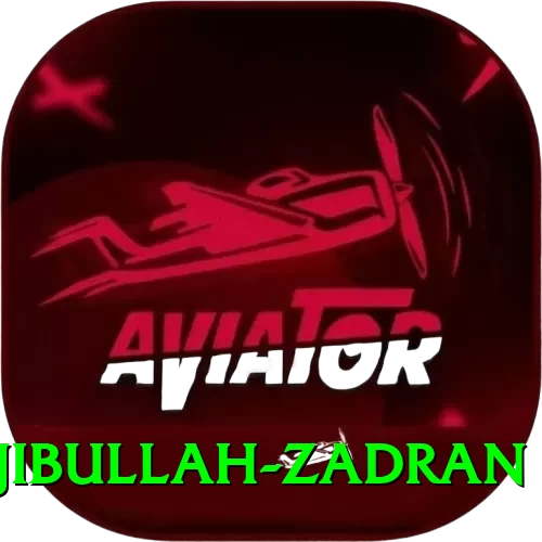 najibullah zadran Deluxe v5.6.7 - 2