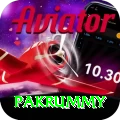 pakrummy Apps (Tools & Injectors) Turbo v4.3.8