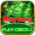play cricket Max v2.8.6