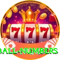powerball numbers Max v5.2.5