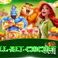 risk free bet cricket Apps (Tools & Injectors) Master v3.9.7