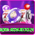 rudi koertzen VIP Pro v1.9.9