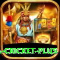 sa cricket Royal Gaming App