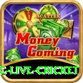 smartcric live cricket Pro1 v3.5.1