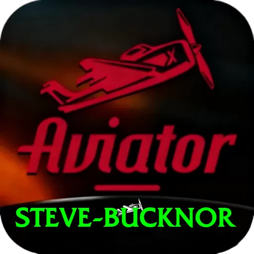 steve bucknor Premium Plus v1.6.3 - 2