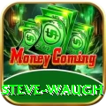 steve waugh Master v4.8.5
