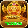 tiger888 Turbo v2.5.2