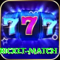 to day cricket match Pro Edition v1.1.4