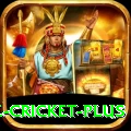 watch live cricket Mega Gaming App