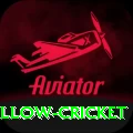 willow cricket Plus v4.5.2
