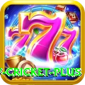 willow cricket Slots Royal v3.4.4