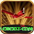 www cricket com Pro1 v5.0.2